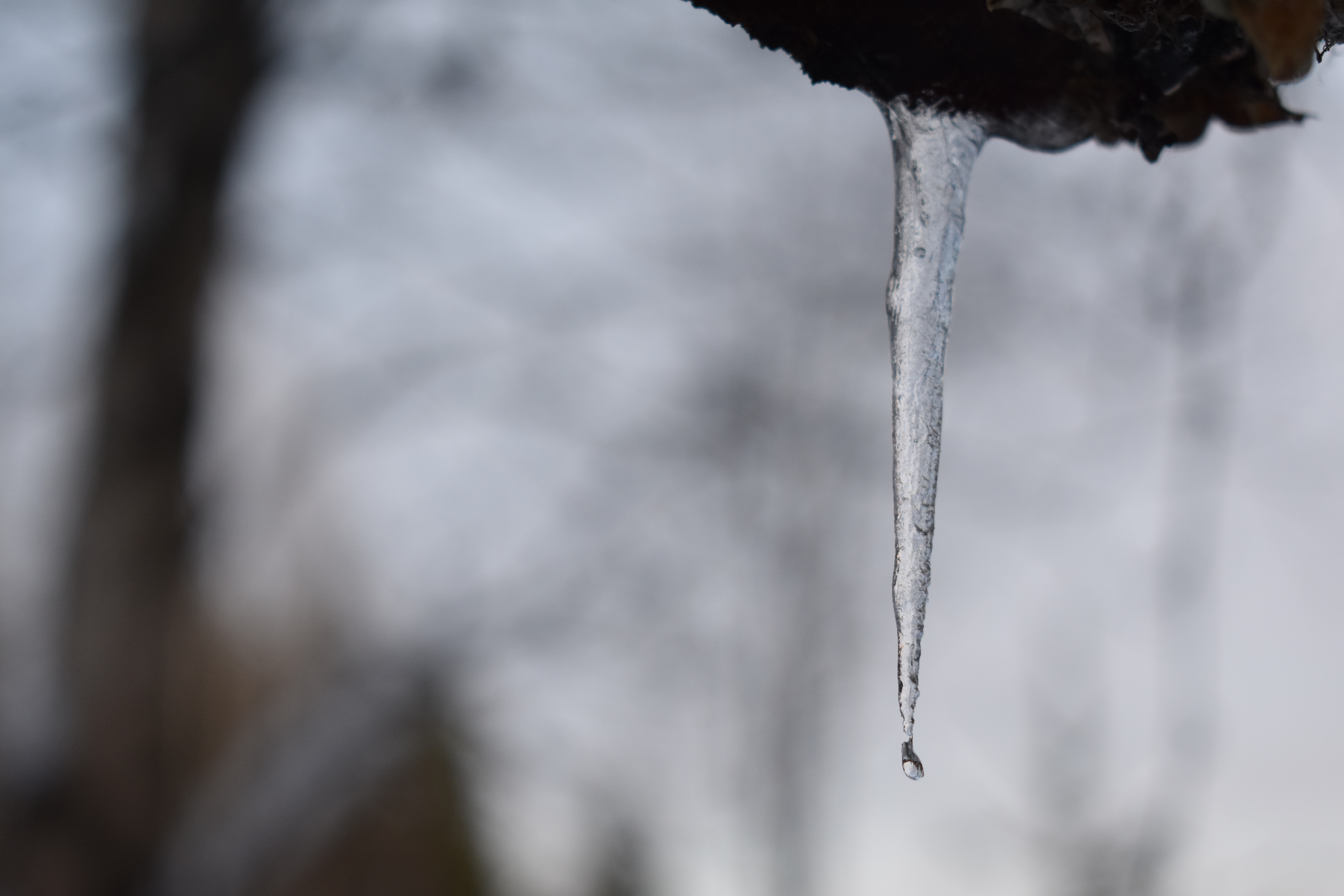 Icicle with the droplet frozen at the end